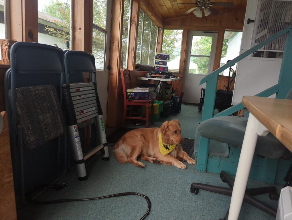 Azrijah laying on the porch of The Pine